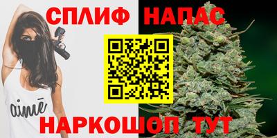 индика Апшеронск