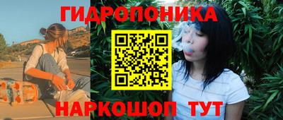 шишки Азнакаево