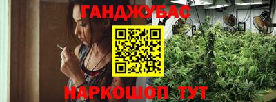 индика Апшеронск
