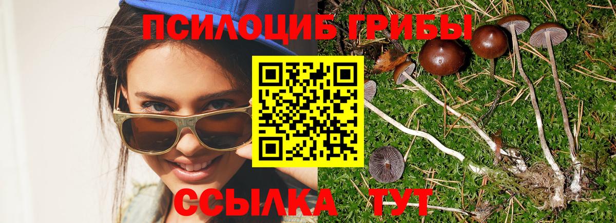 Астрахань  Псилоцибиновые грибы Cubensis  Вход с VPN  Галлюциногенные грибы Psilocybine cubensis 